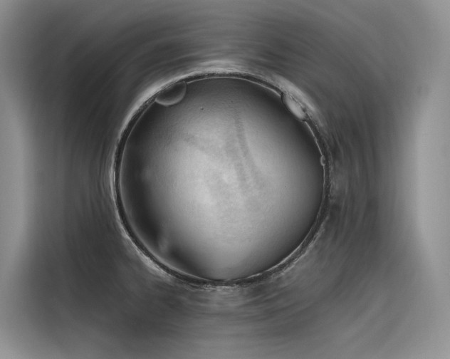 X0000116381334200912021512