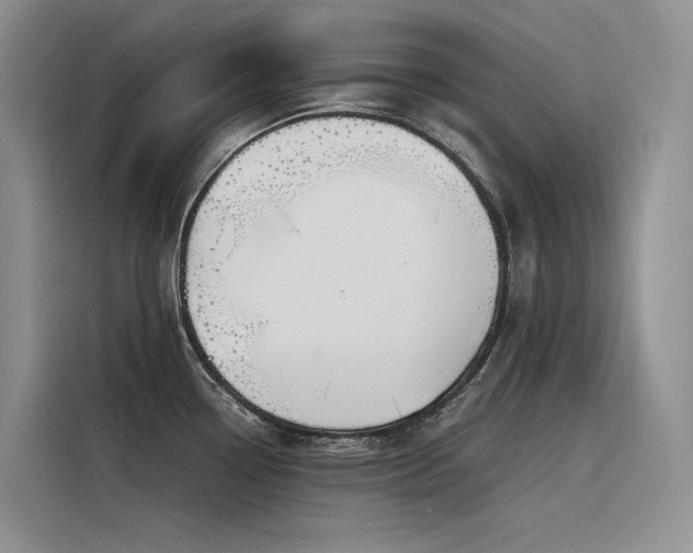 X0000116381338200912021512