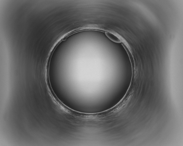 X0000116381341200912021512