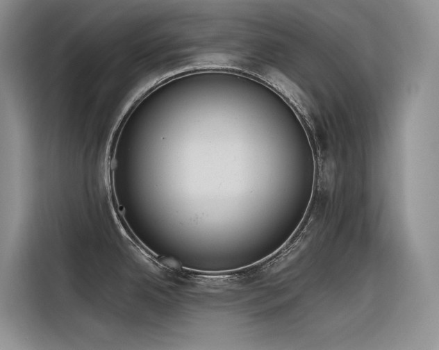 X0000116381342200912021512