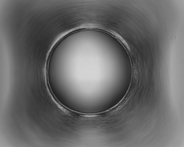 X0000116381343200912021512