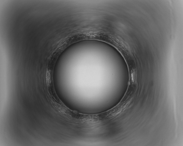 X0000116381347200912021511
