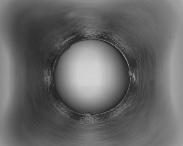 X0000116381348200912021511
