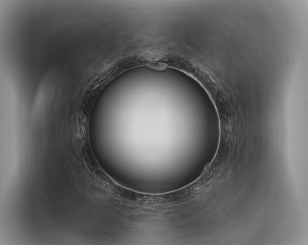 X0000116381349200912021511