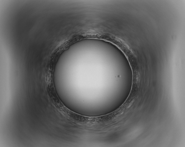 X0000116381350200912021511