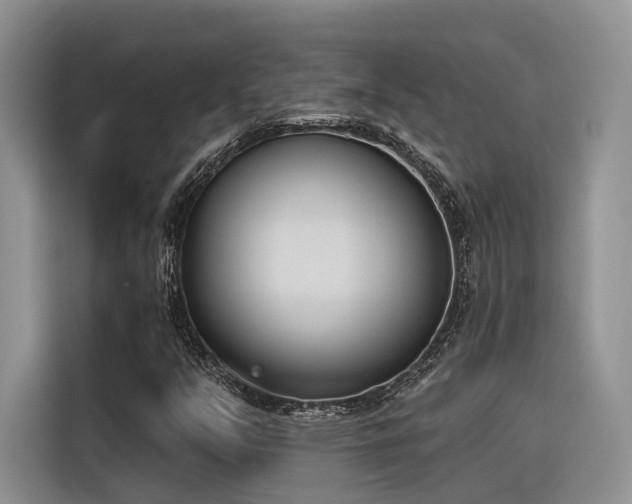 X0000116381351200912021511