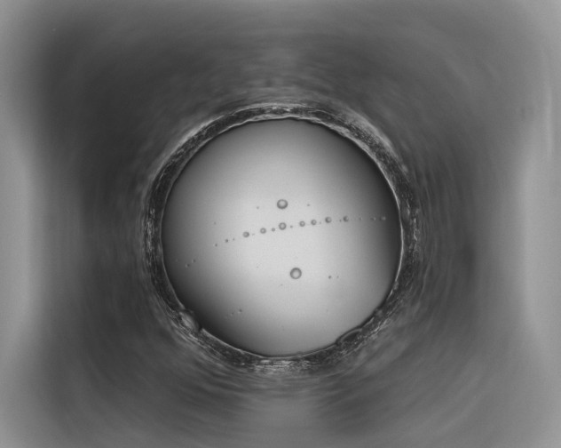 X0000116381352200912021511