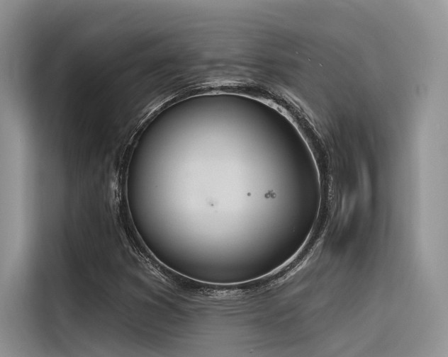X0000116381353200912021511