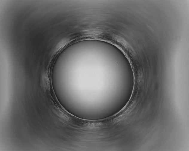 X0000116381354200912021511