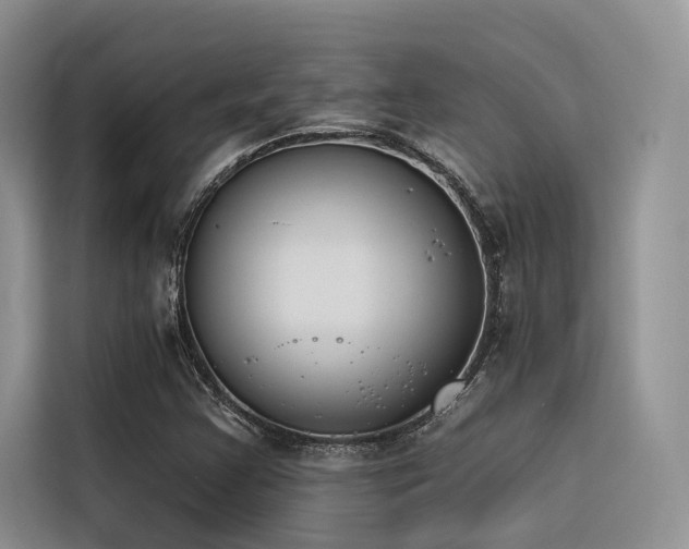 X0000116381355200912021511