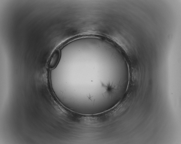 X0000116381356200912021511