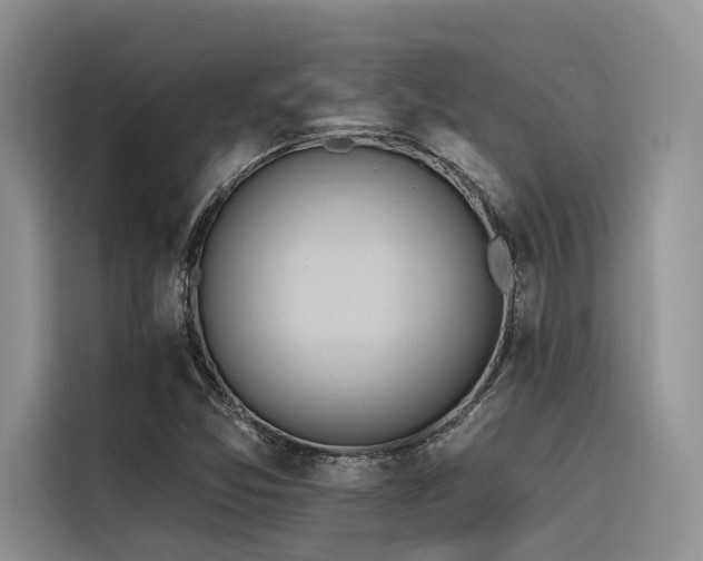 X0000116381357200912021511