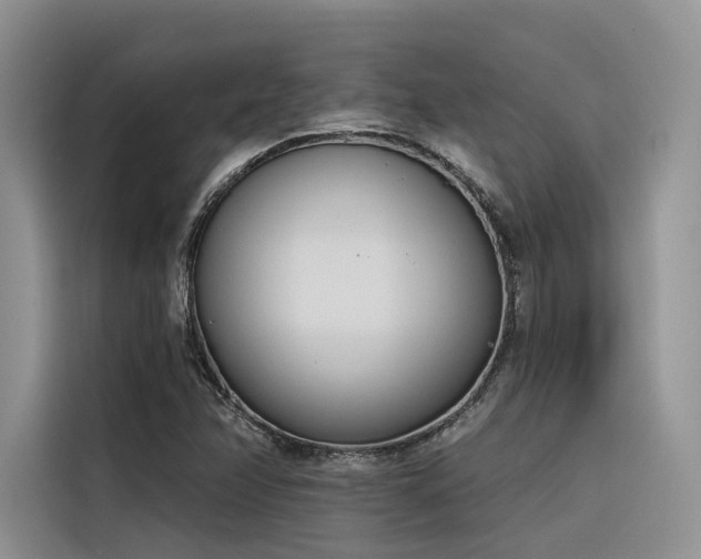 X0000116381358200912021511