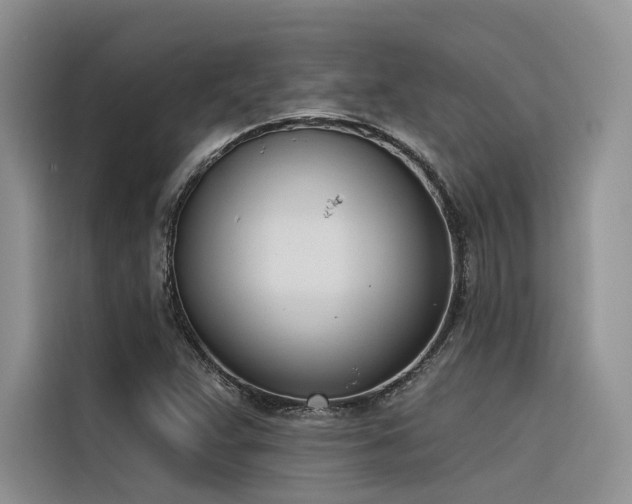 X0000116381359200912021511