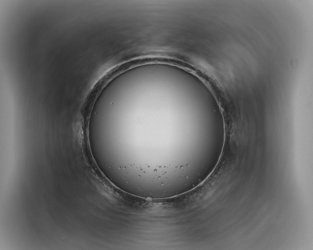 X0000116381360200912021511