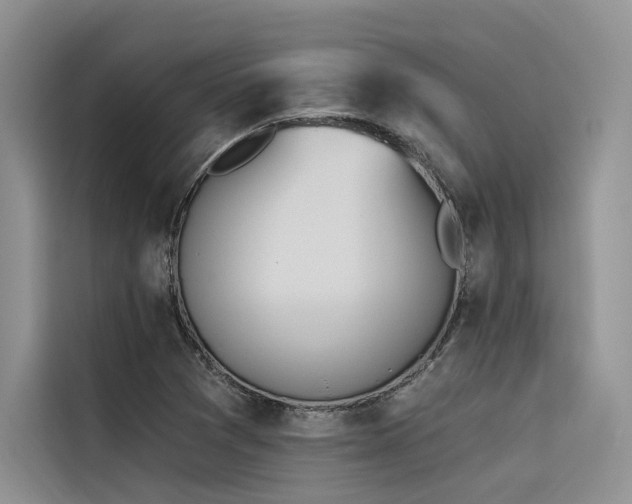 X0000116381361200912021511