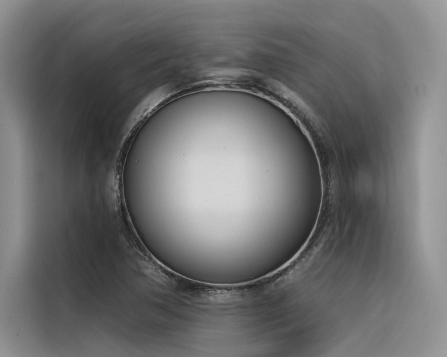 X0000116381362200912021511