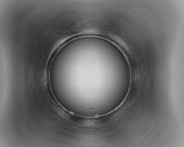 X0000116381364200912021511
