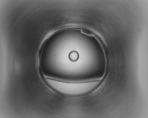 X0000116381365200912021511