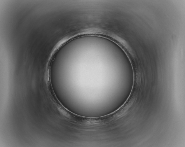 X0000116381366200912021511