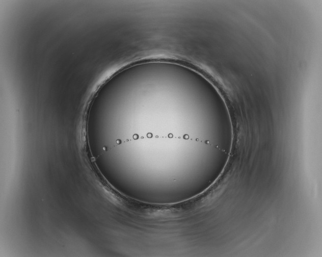 X0000116381367200912021511