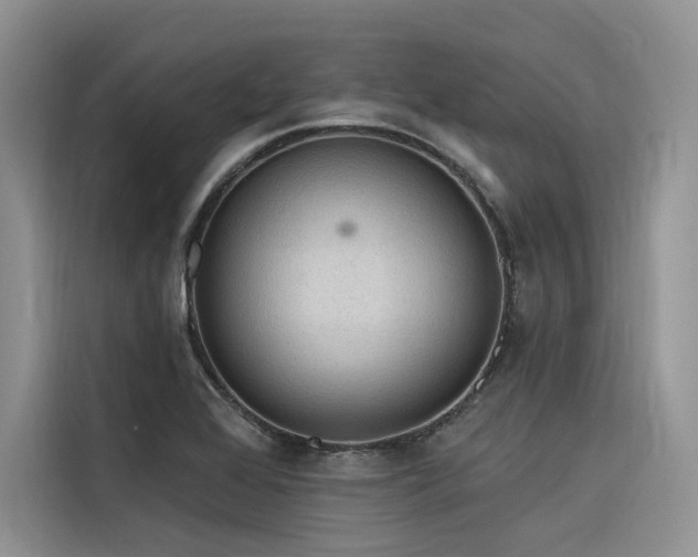 X0000116381368200912021511