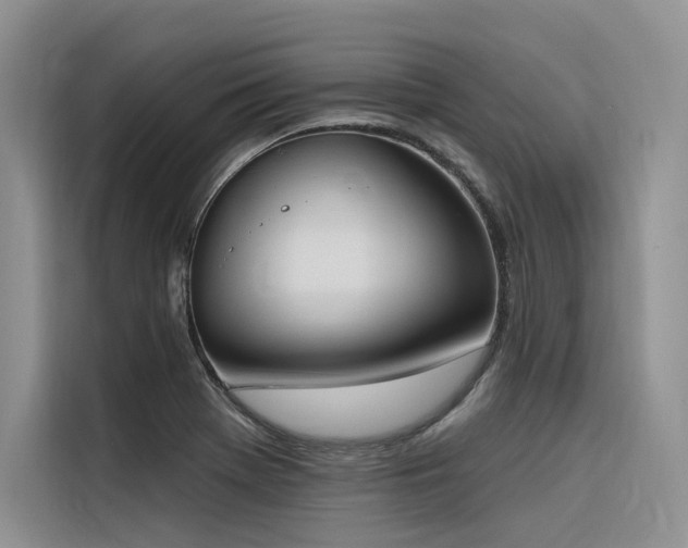 X0000116381369200912021511