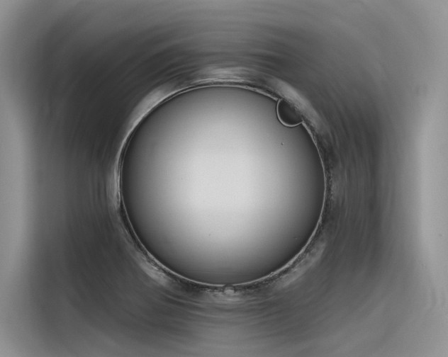 X0000116381370200912021511