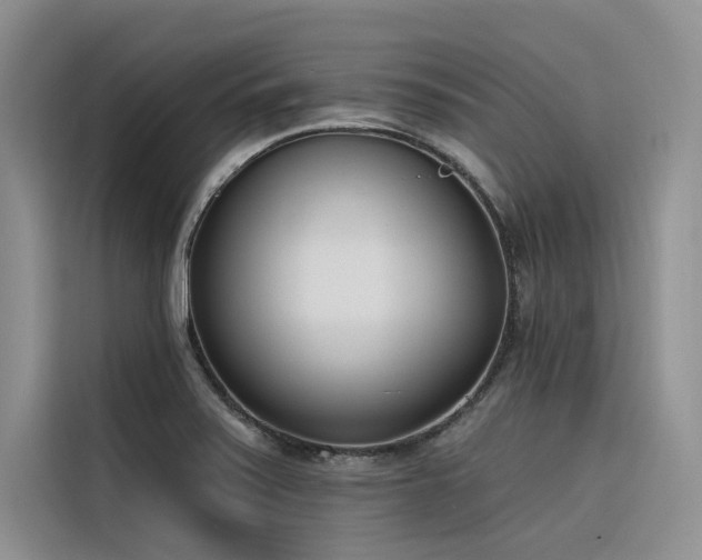 X0000116381371200912021511