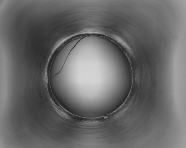 X0000116381372200912021511