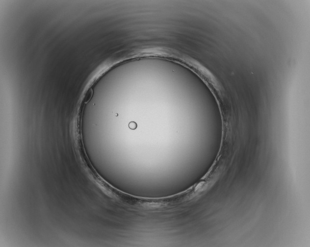 X0000116381373200912021511
