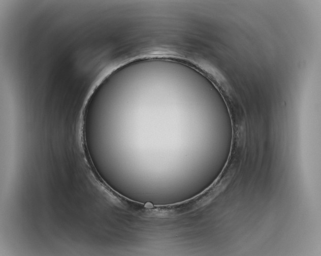X0000116381374200912021511