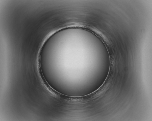 X0000116381375200912021511