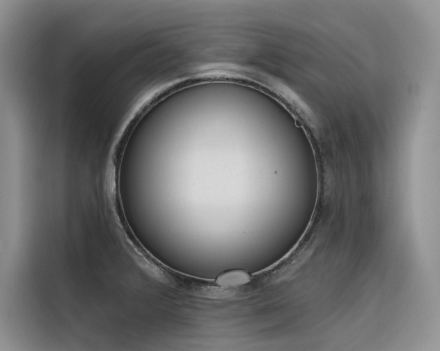 X0000116381376200912021511