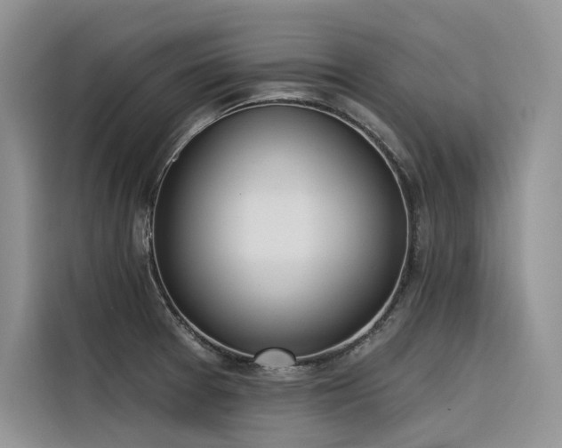 X0000116381377200912021511