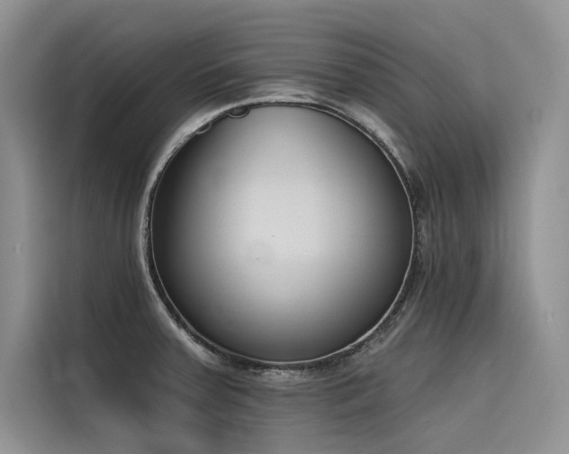 X0000116381379200912021511
