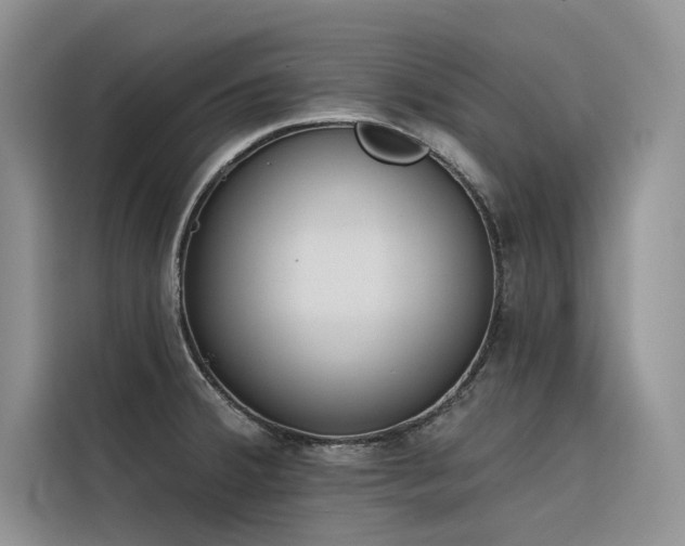 X0000116381380200912021511