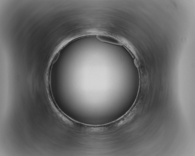 X0000116381381200912021511