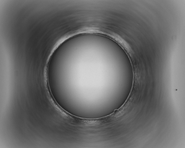 X0000116381382200912021511