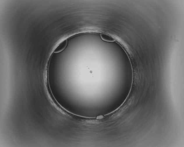 X0000116381383200912021511