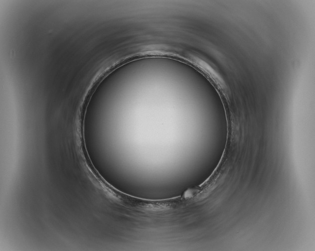 X0000116381384200912021511