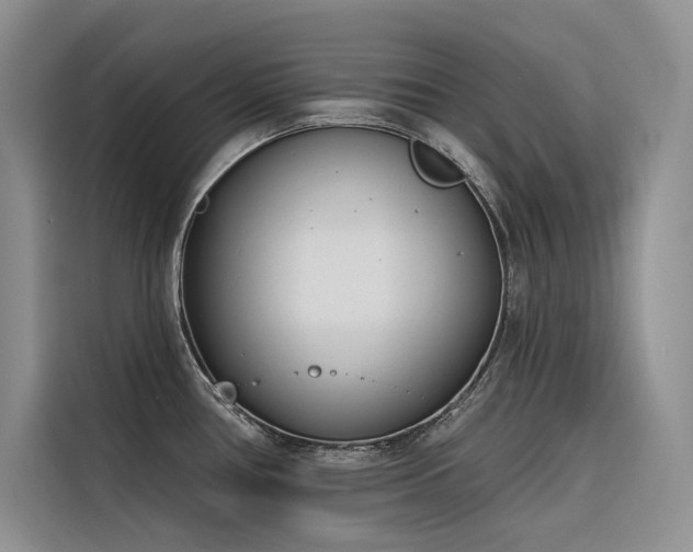 X0000116381386200912021511