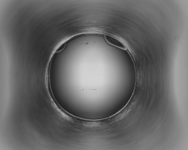X0000116381387200912021511