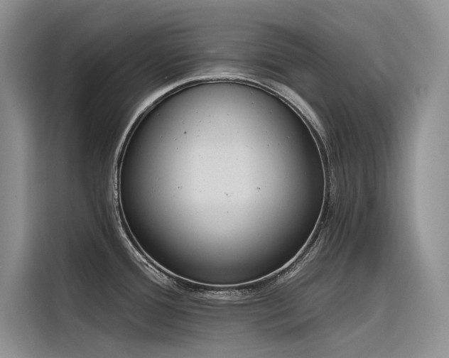 X0000116381388200912021511