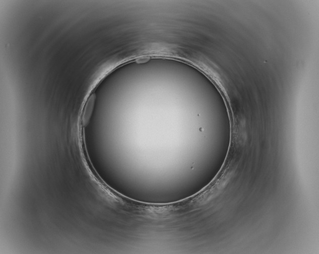 X0000116381389200912021511