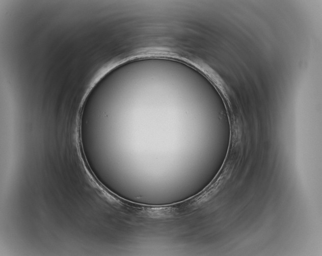 X0000116381390200912021511