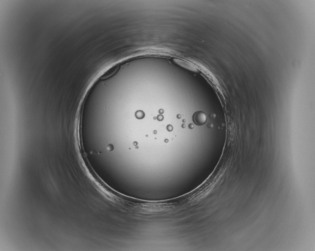 X0000116381391200912021511