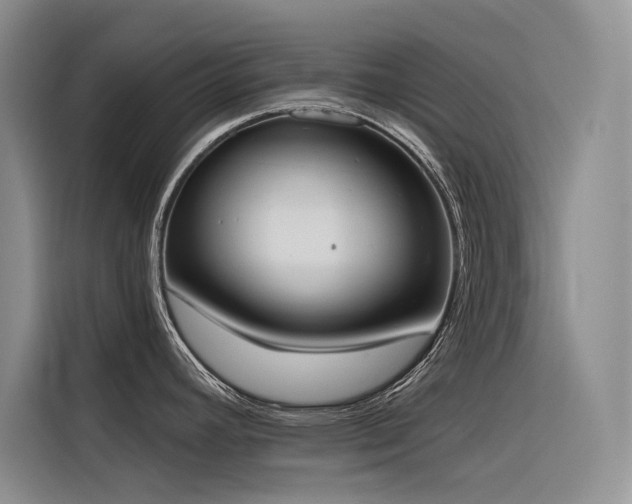 X0000116381392200912021511