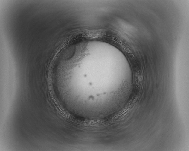 X0000116381393200912021510