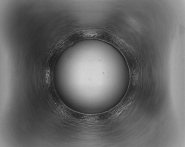 X0000116381394200912021510